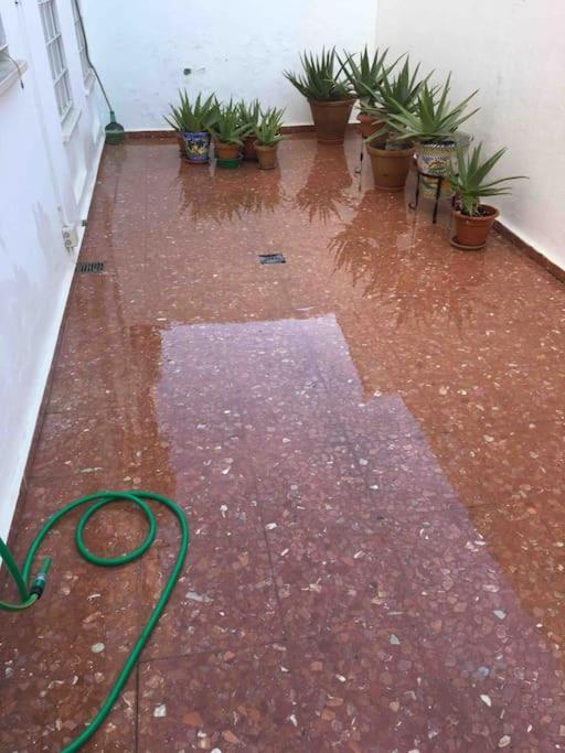 סביליה Casa Soleada En Calle Tranquila מראה חיצוני תמונה