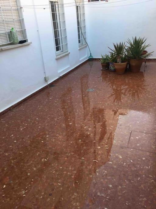 סביליה Casa Soleada En Calle Tranquila מראה חיצוני תמונה