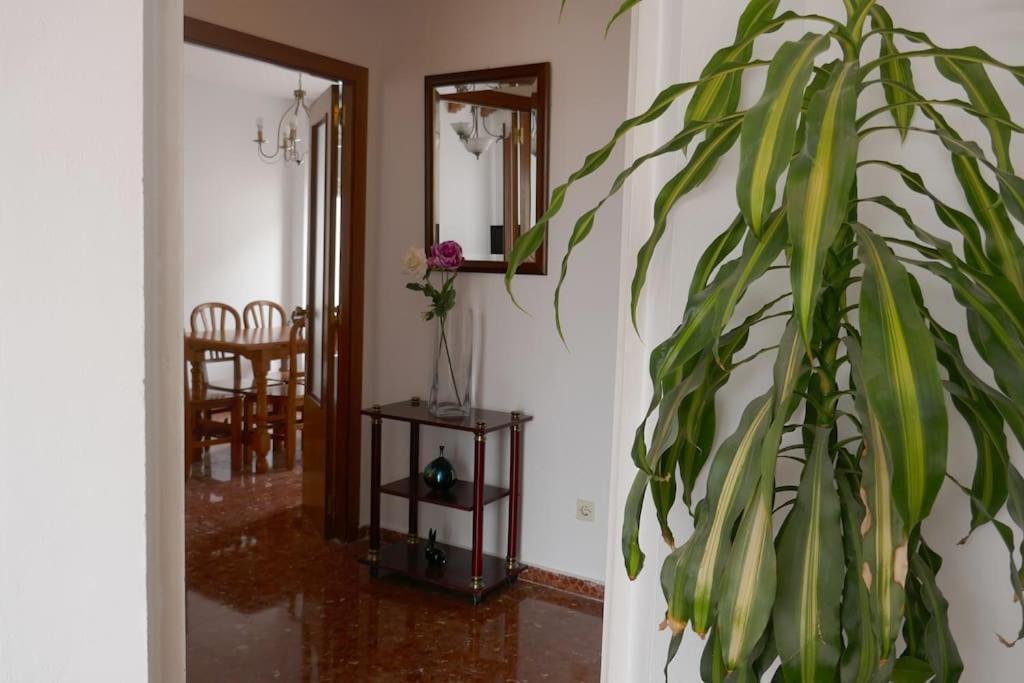 סביליה Casa Soleada En Calle Tranquila מראה חיצוני תמונה