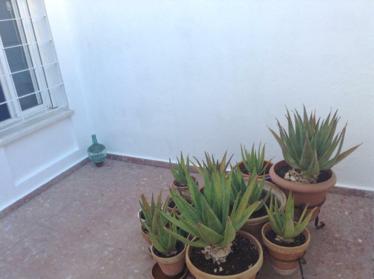 סביליה Casa Soleada En Calle Tranquila מראה חיצוני תמונה